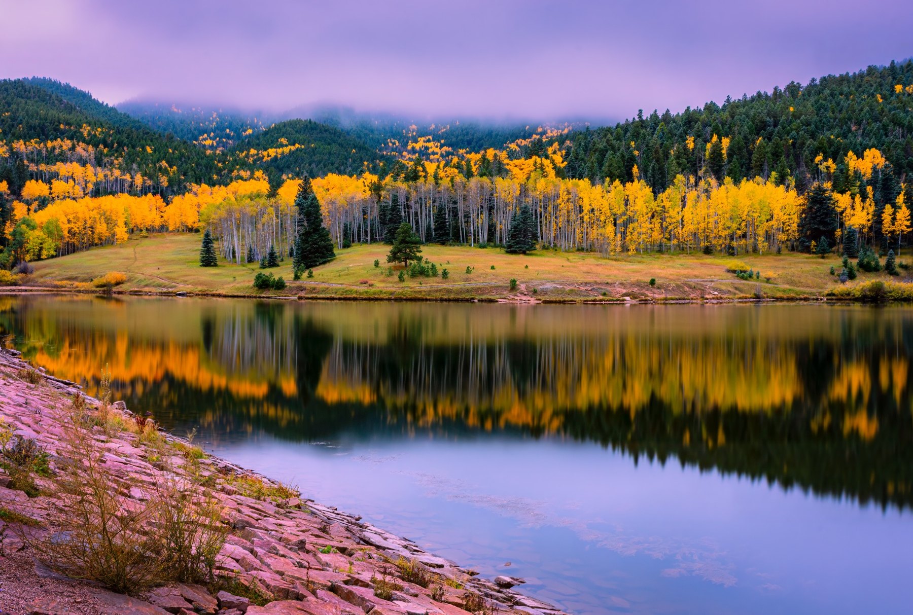 Aspens at San Isabel