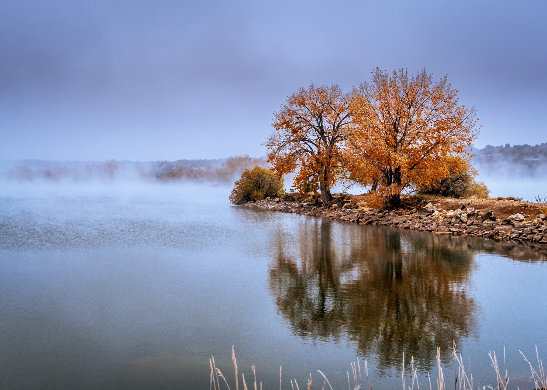 Foggy Fall Morning at the Lake