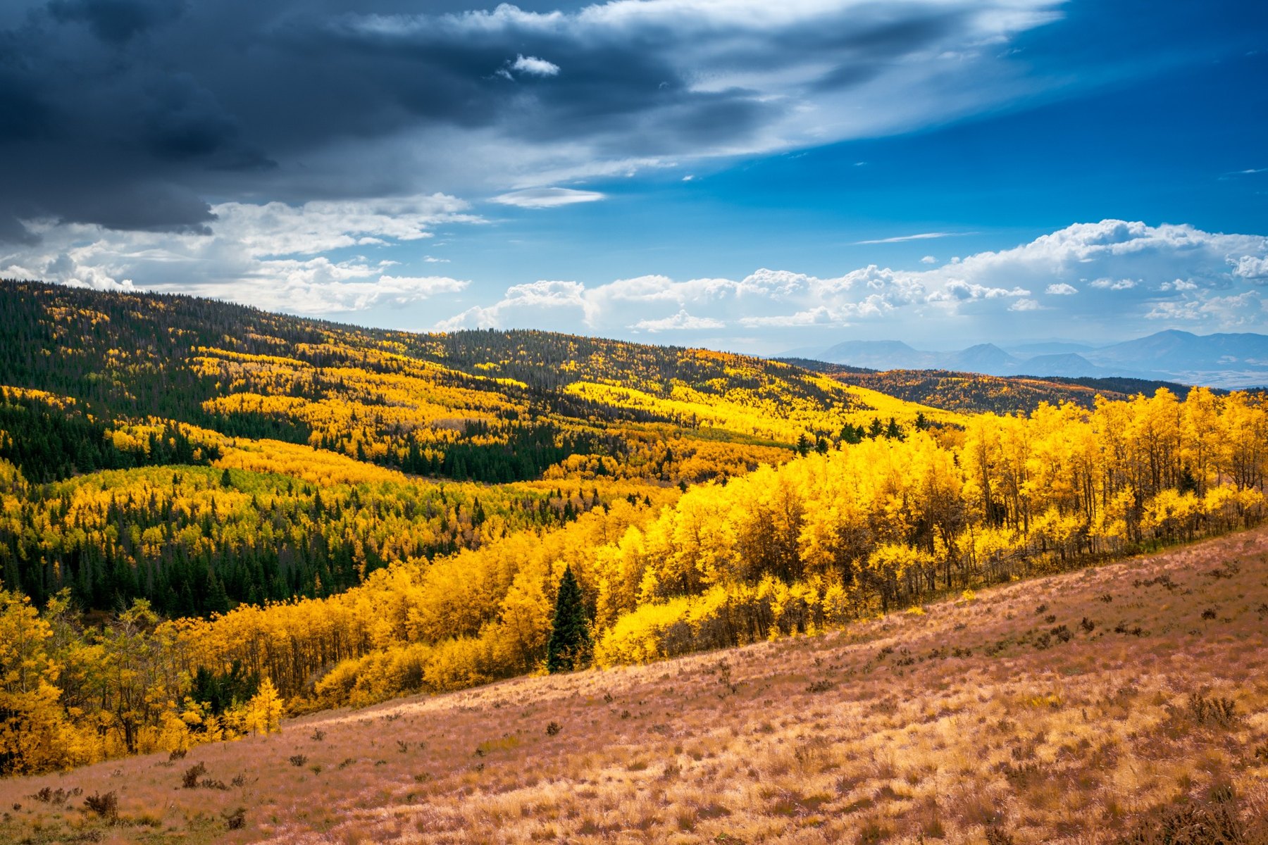Greenhorn Mountain Fall Colors