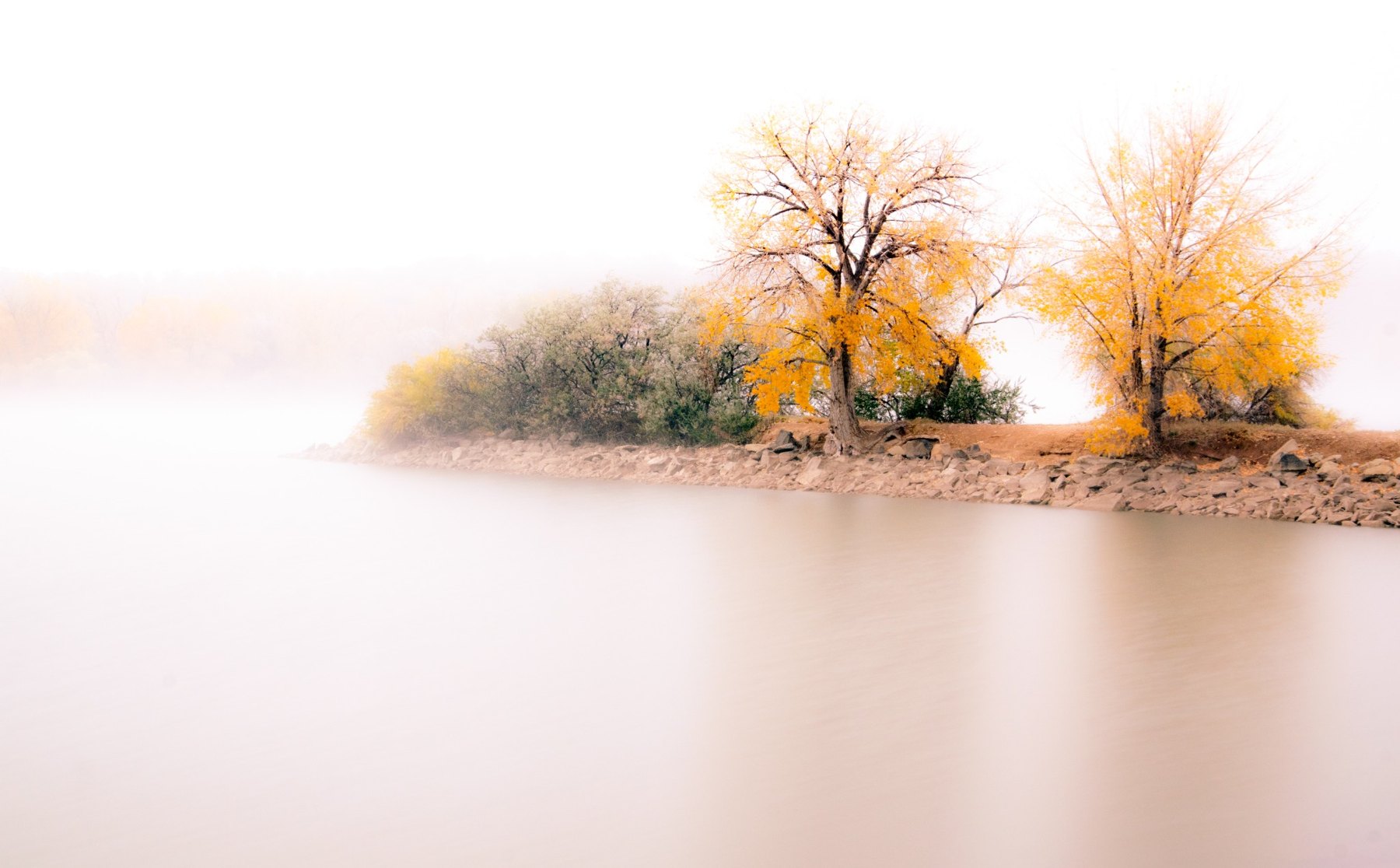 Horseshoe Lake Fog