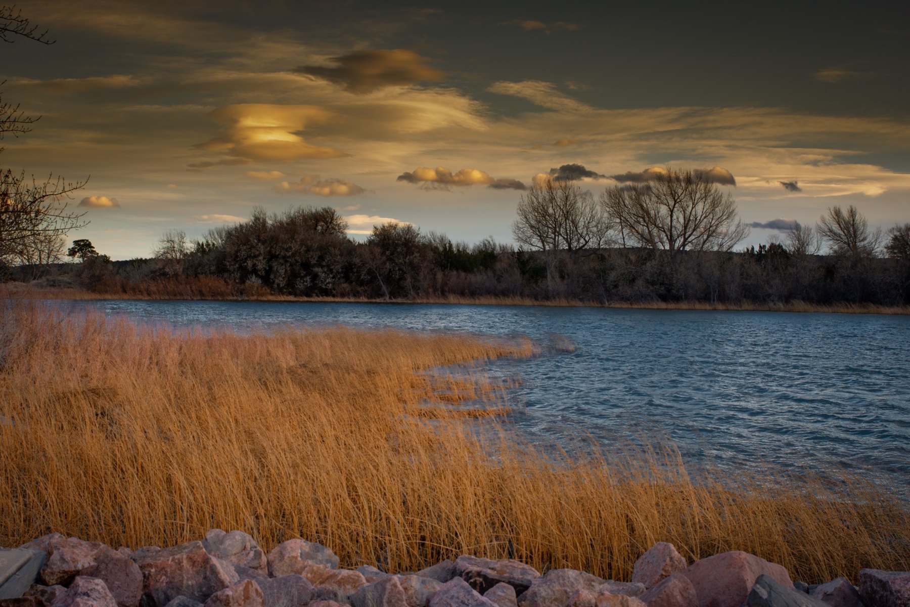 Cove at Horseshoe Lake