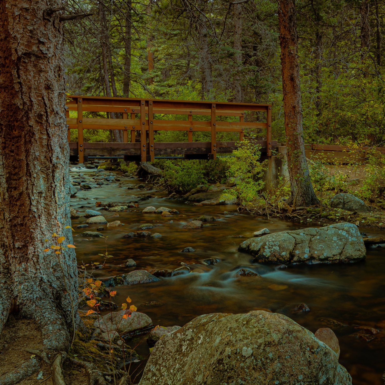 Stream at San Isabel in Fall